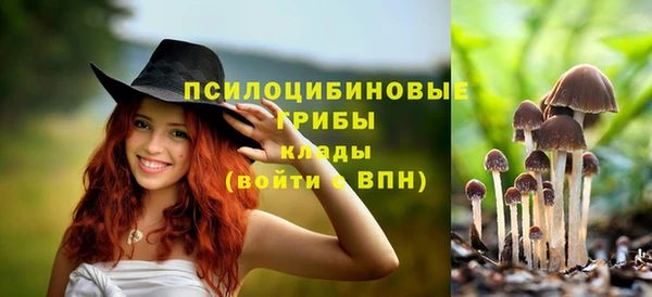 амф Верхнеуральск
