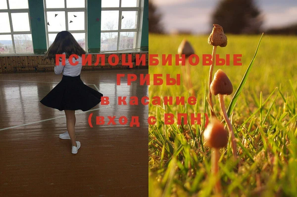 COCAINE Бикин