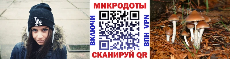 Галлюциногенные грибы мицелий  блэк спрут онион  Горбатов 